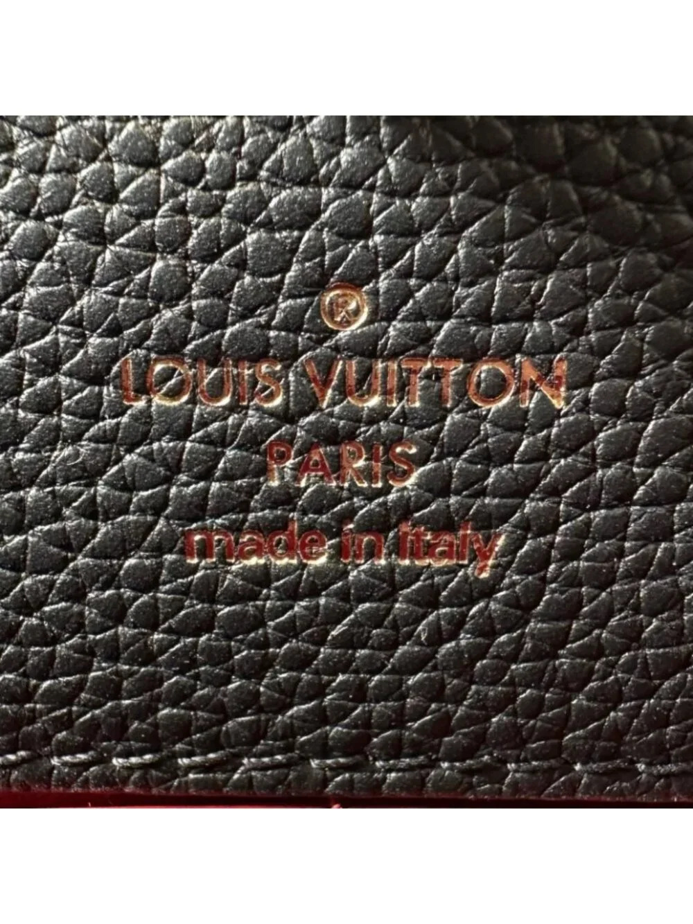 Louis Vuitton brand louis